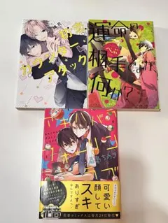 ボーイズラブ漫画　3冊セット