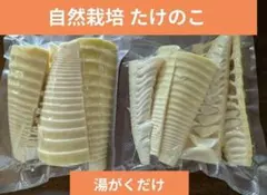 愛媛県産天然筍を使ったメンマ作り用乾燥たけのこです！ - メルカリ