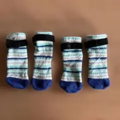 犬用靴下 青と緑のストライプ(小型犬用)
