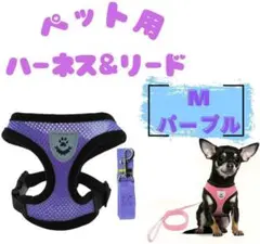 ペット用ハーネス&リード M　パープル　犬猫