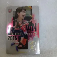 バレーボール女子日本代表ver.ツインウエハース 木村沙織