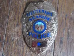 Palm Beach County Deputy Sheriff バッジ | Mercari