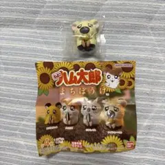 とっとこハム太郎　まちぼうけ　待ちぼうけ　タイショーくん