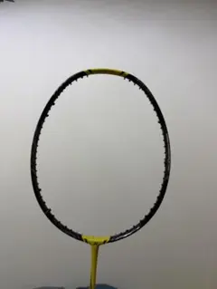 【ジャンク】ナノフレア1000Z