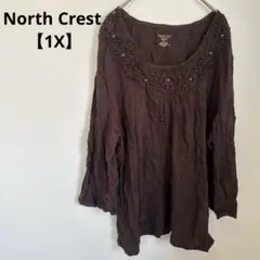 North Crest チュニック 【1X】 ブラウン レース 7分袖