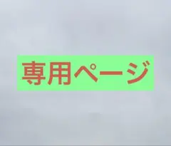 専用ページ