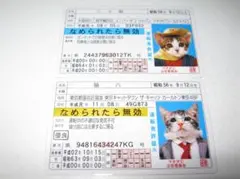 【なめ猫 免許証風 ブロマイド 2枚 A】なめんなよ猫 なめねこ 猫 ネコ