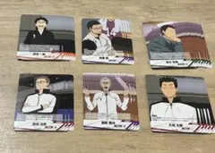 ハイキュー　バボカ　コーチ　監督