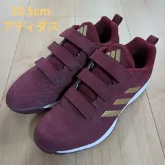 Item thumbnail for item b6140015-ad11-4c77-9756-2174bc69077e