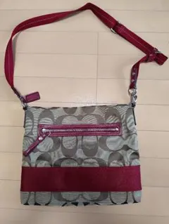 Item thumbnail for item f8ab4c5c-9e52-4492-ae54-d9b506dd1a35