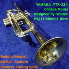2026年最新】ytr-234の人気アイテム - メルカリ