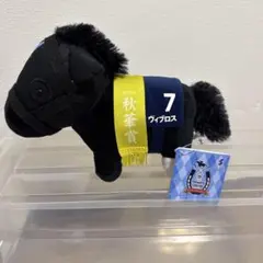 サラブレッドコレクション　ヴィブロス