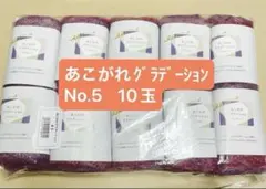 毛糸まとめ売り　あこがれグラデーション No.5 10玉　モヘア　ハンドメイド