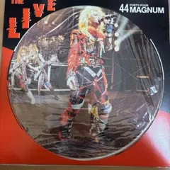 2025年最新】44マグナム レコードの人気アイテム - メルカリ
