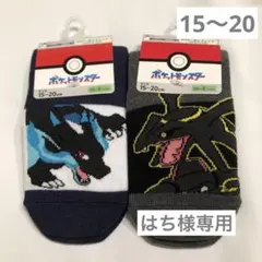 はち様専用★ポケモン　ソックス　2足　15〜20㎝　クルー丈　メガリザードンx