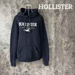 ⭐︎610 HOLLISTER ホリスター フーディーパーカー ロゴ アメカジのサムネイル