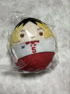 2025年最新】孤爪研磨 ふわコロりんの人気アイテム - メルカリ