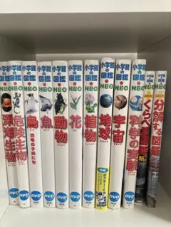 20冊セット】小学館の図鑑NEO 抜け無し （DVD・付録多数） カバーあり