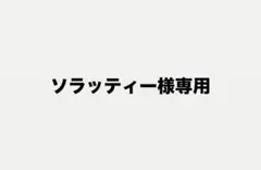 T*S様 ティエンポリゲラ AG 27cm - メルカリ