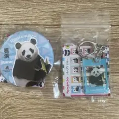 アドベンチャーワールド パンダ 楓浜 彩浜　缶バッジ　リメンバー Amazon | アドベンチャーワールド限定パンダ缶バッジ 彩浜