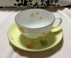 カップ＆ソーサー　ヒロミチナカノ