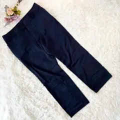 INED イネド 【13】 クロップドパンツ ゴルフ オフィス ふくよか 紺