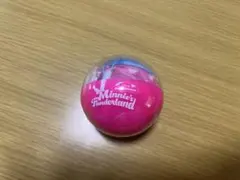 ディズニー　ミニーのファンダーランド　パルパルーザ　カプセルトイ　ポーチ1点