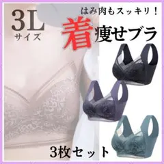☆ 美胸 3枚セット ３L 胸を小さく見せる 着痩せ ナイトブラ シームレス 0