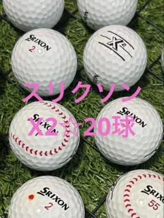 Item thumbnail for item 83e31685-0663-473d-ab8d-de497450c774