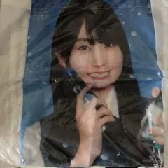 Item thumbnail for item 83372121-14fa-4a40-b901-da29db4d68f7