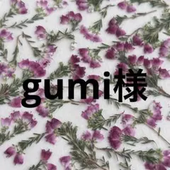 gumi様 リクエスト 2点 まとめ商品