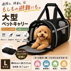 ペットキャリーバッグ 猫 小型犬 ソフトキャリー 折りたたみ メッシュ 2WAYのサムネイル