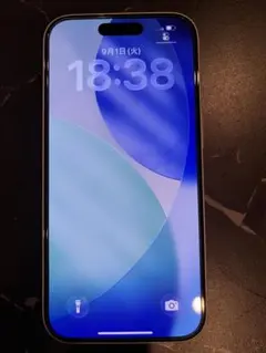 香港版・シャッター音なし】iPhone 13 Pro 256GB - メルカリ