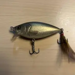 2026年最新】キンブナの人気アイテム - メルカリ