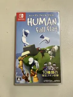 Switch ヒューマンフォールフラット 中古 並品