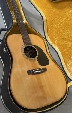 【ヴィンテージギター】Elite by Takamine TW20