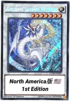 遊戯王：Ancient Sacred Wyvern：1st - メルカリ