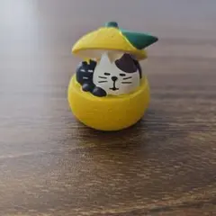 ☆コンコンブル　おせち猫　柚子黒豆☆concombre 　お正月　ゆず☆