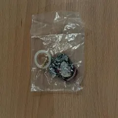 ハリー・ポッターめじるしアクセサリー グリフィンドール ガチャ