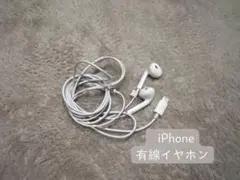 iPhone 有線イヤホン