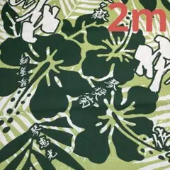 相撲 着物・浴衣