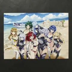 ドルフィンウェーブ　ポストカード　3周年　秋葉原　ドルウェブ