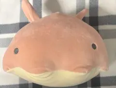 りぶはあと メンダコ ぬいぐるみ