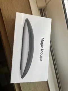 Magic Mouse Apple MMMQ3J/A