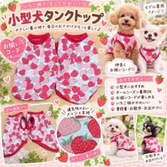 オールシーズンSSペット用 いちご柄 タンクトップ