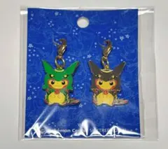 2025年最新】ポンチョを着たピカチュウ 未開封 レックウザの人気