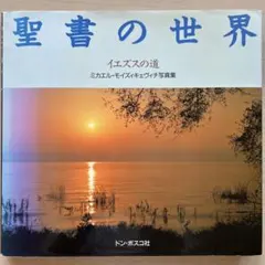 シモーヌ・ヴェイユの不幸論』大木健 勁草書房 - メルカリ