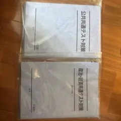 河合塾 夏期講習 早慶大世界史 - メルカリ
