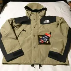 The north face ダウンジャケット