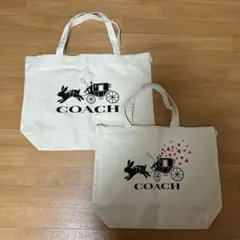 COACH 2023福袋　うさぎ　ショッパー　メンズ　レディース
